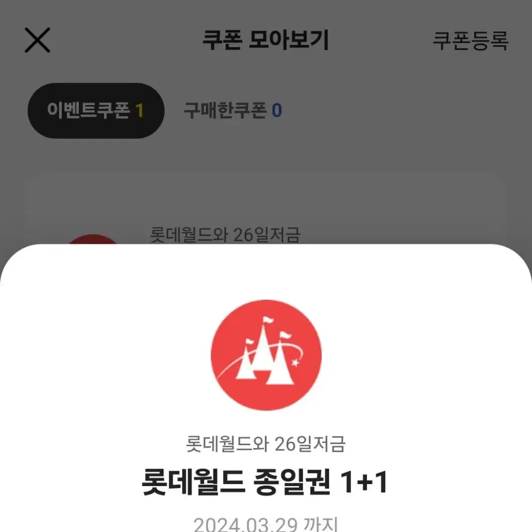 롯데월드 종일권 1+1