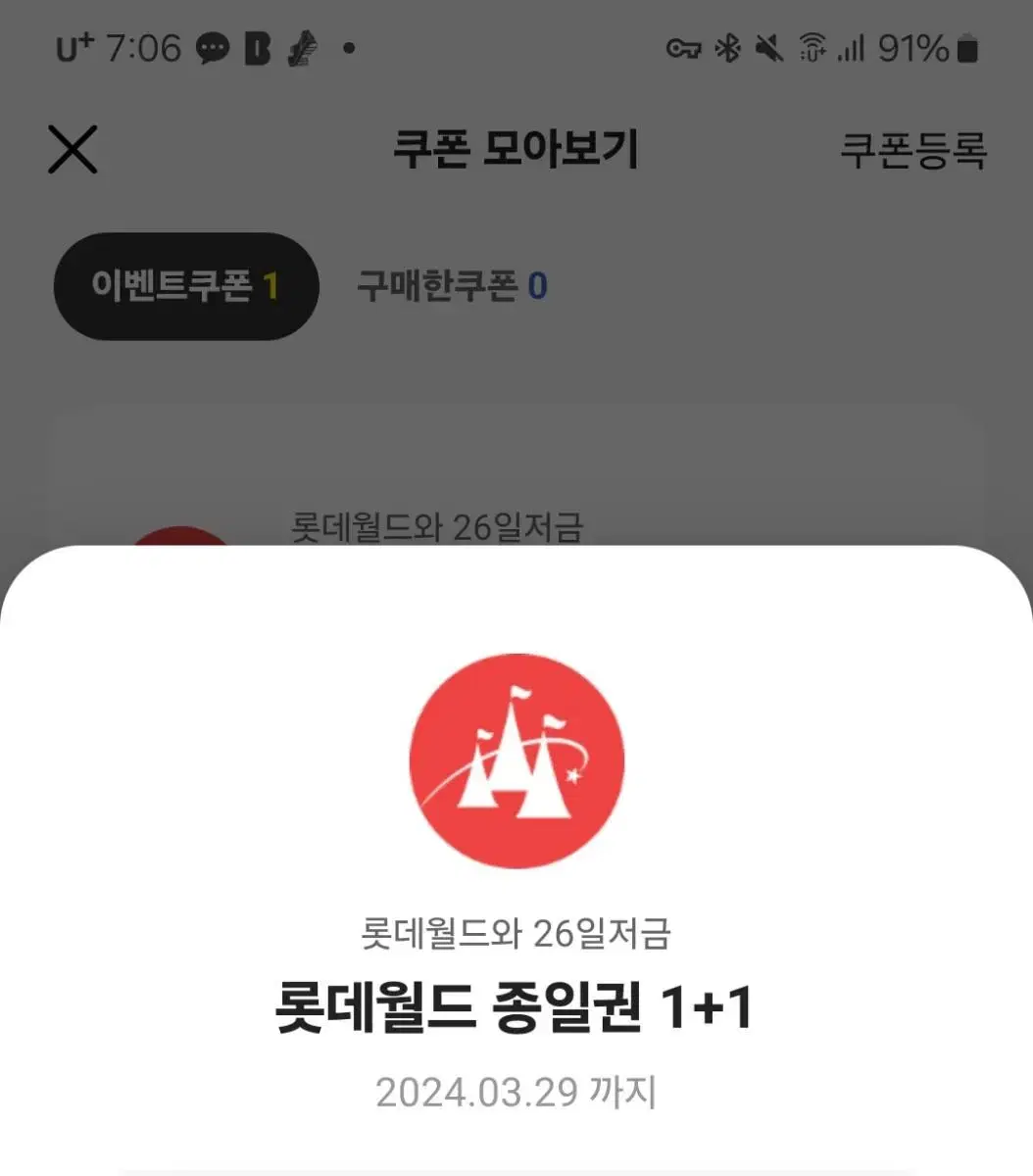 롯데월드 종일권 1+1