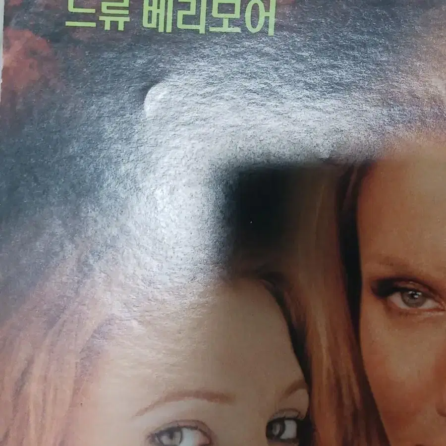 카메론디아즈 드류베리모어 루시리우 미녀삼총사 (2000년)전단지