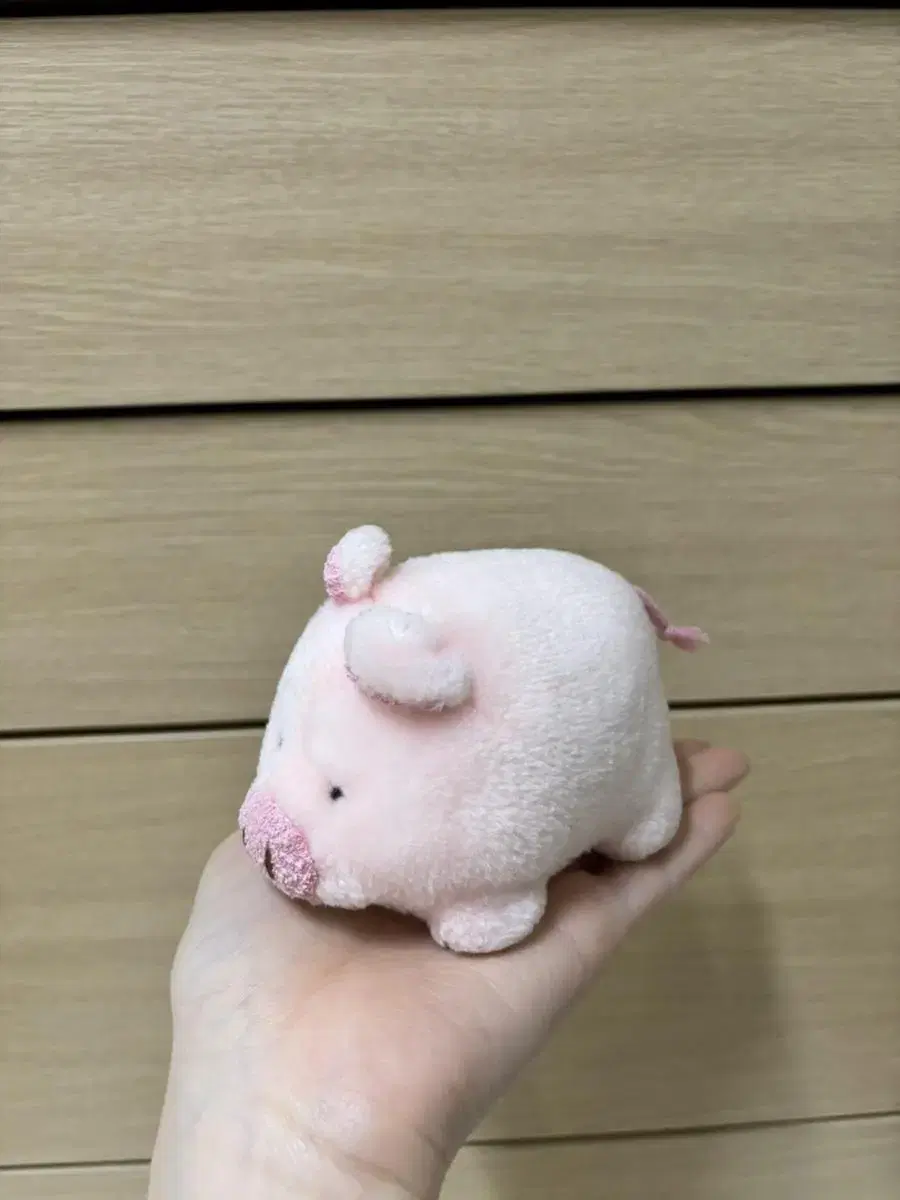 Squeaky Pig Doll