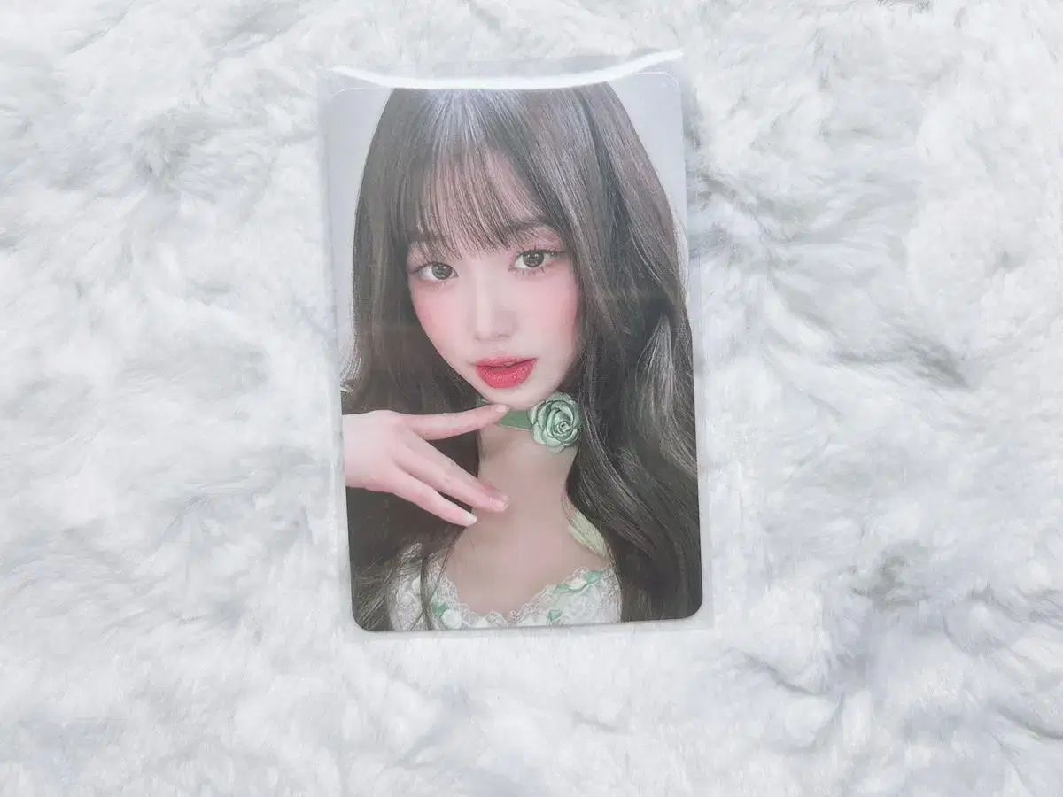 Free Shipping)ive jang wonyoung soundwave Taiwan Pansa unreleased photocard pre-order benefit wts sell