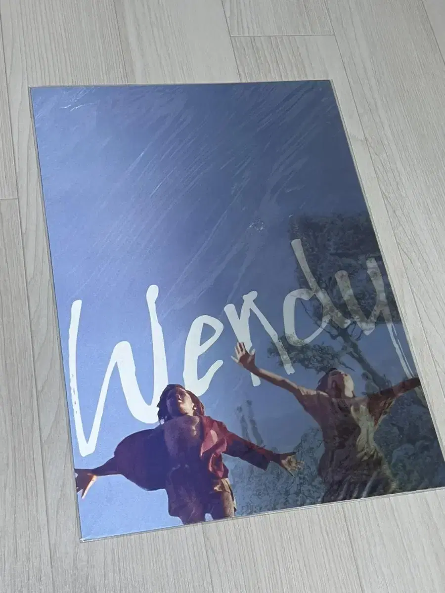 Movie wendy Limited lenticular poster (MovieGoods Peter Pan) 2020