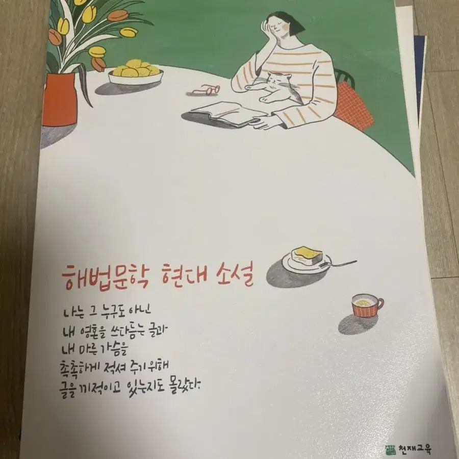 해법문학, 다담 국어문법