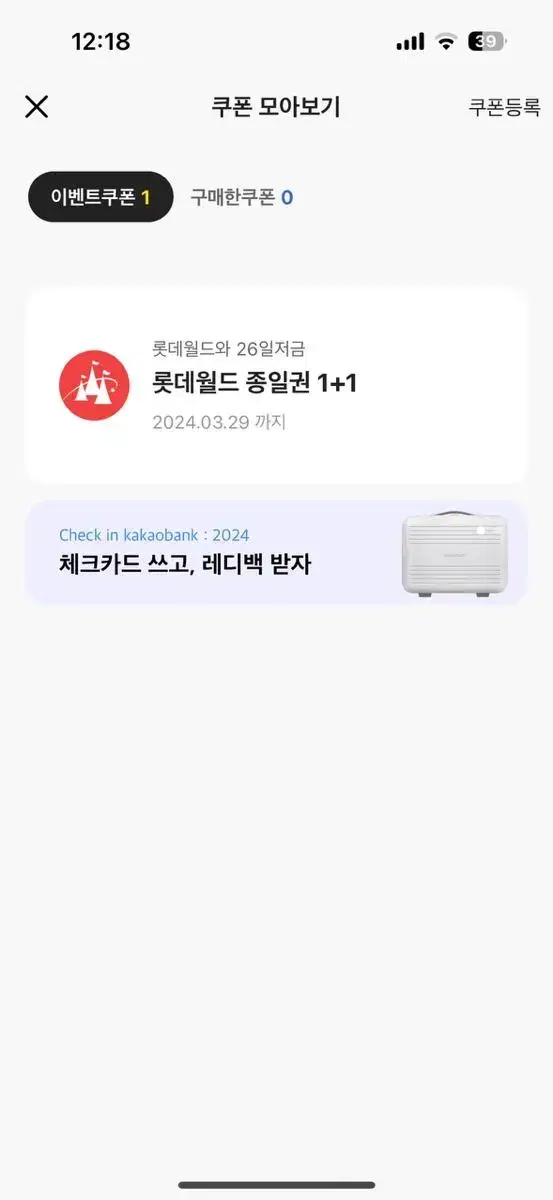 롯데월드 종일권1+1