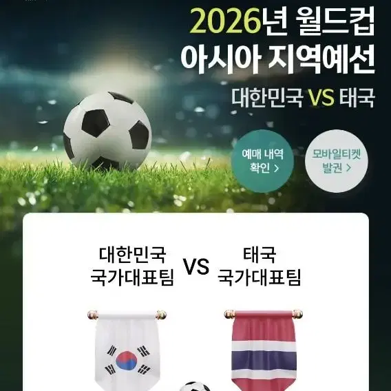 국가대표 축구 태국전 월드컵 예선 2등석B 2연석