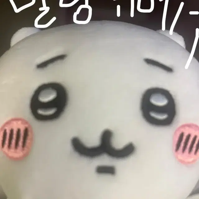 치이카와 인형