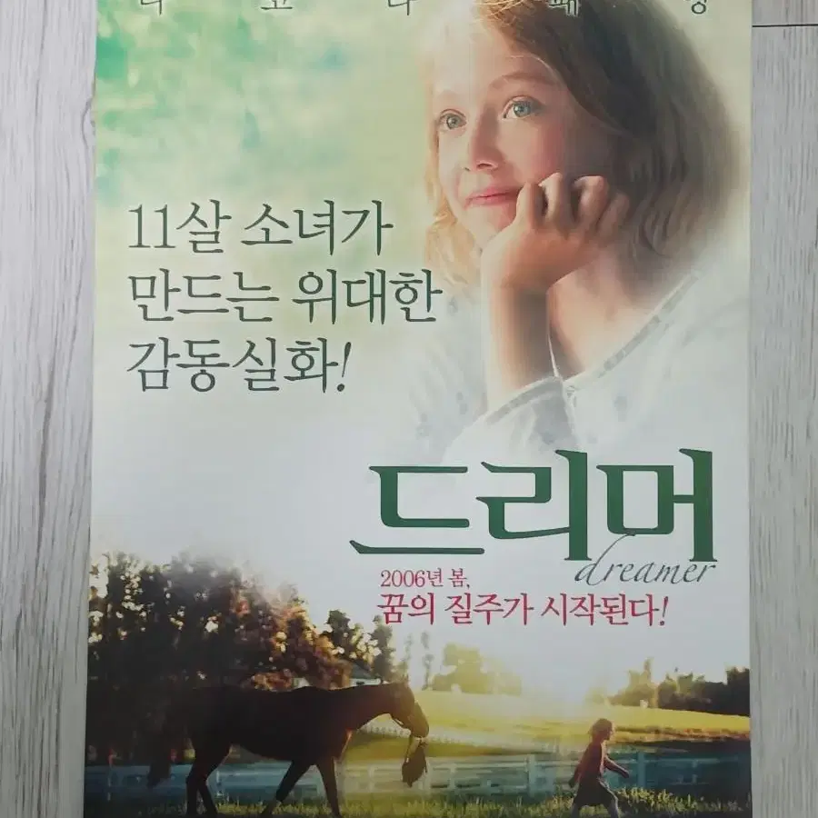 타코타패닝 드리머(2006년)전단지