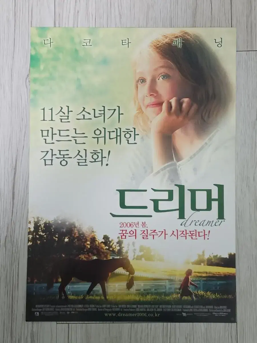 타코타패닝 드리머(2006년)전단지