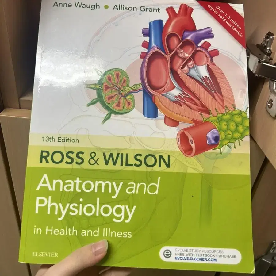 Anatomy and Physiology in Health&Illness