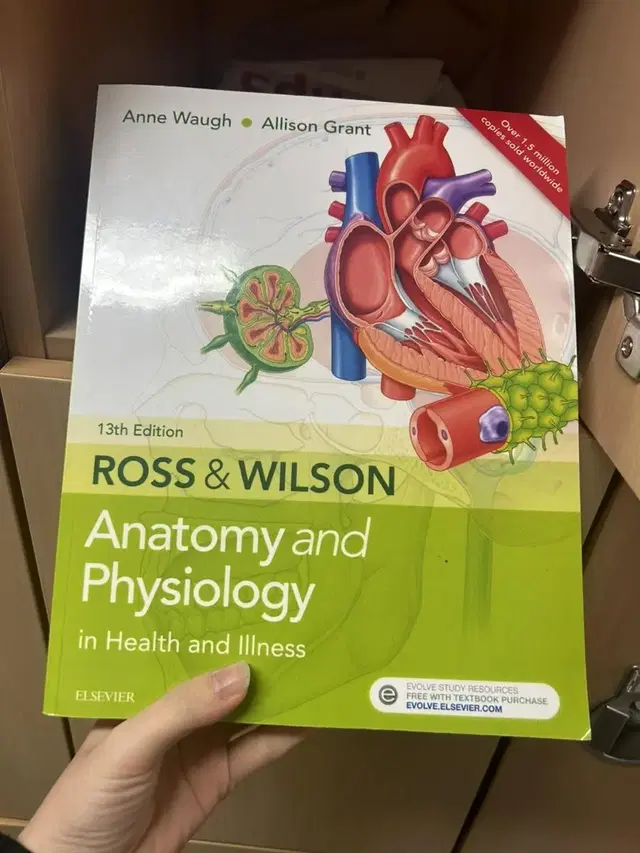 Anatomy and Physiology in Health&Illness