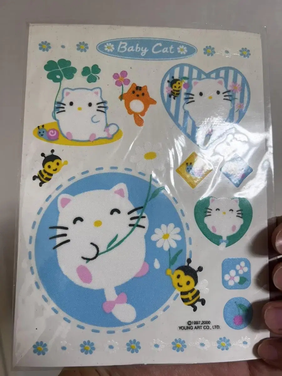 Baby Cat Young Art sticker Large