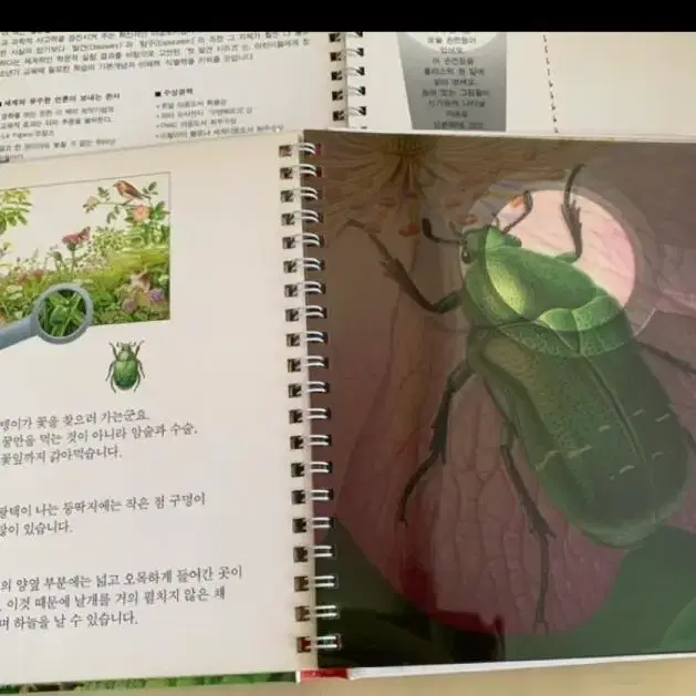 이사정리)오르다 첫발견 110권 전권 분실없음 깨끗 새책 (전용책장포함)