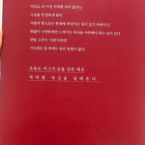 나는 어른이 되어서도 가끔 울었다 책