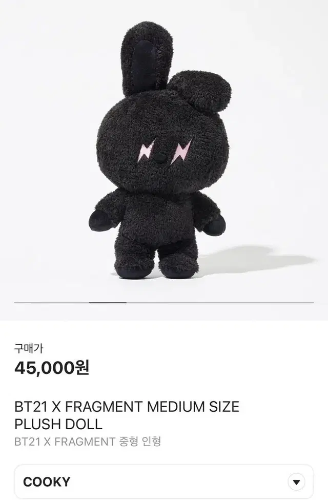 미개봉새상품/bt21 x 프라그먼트 쿠키 인형 중형