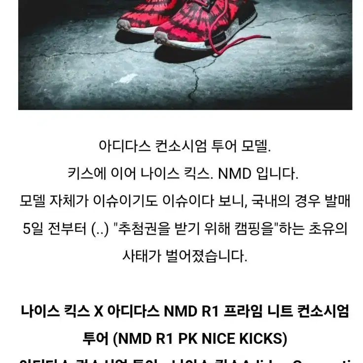 adidas 아디다스  Nice Kicks NMD R1 275 mm