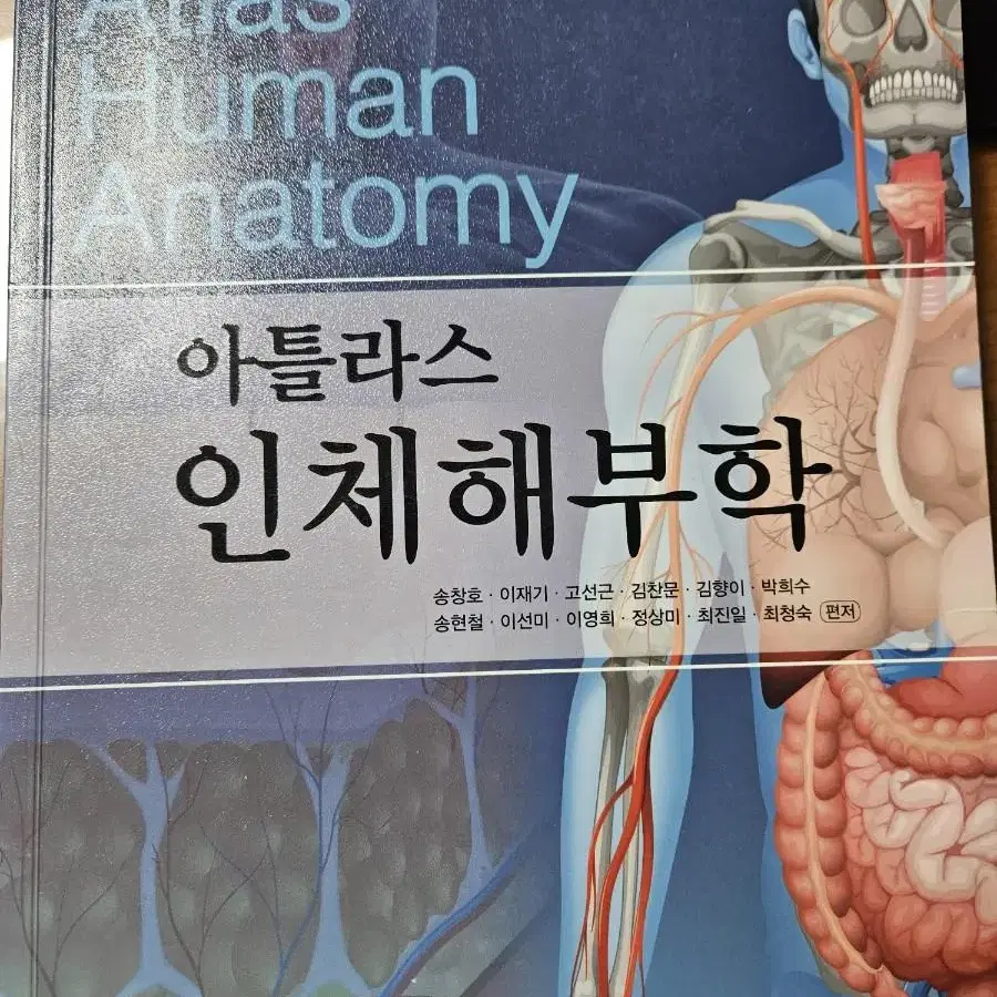 아틀라스 인체해부학