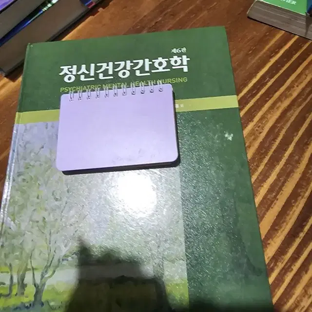 정신건강간호학