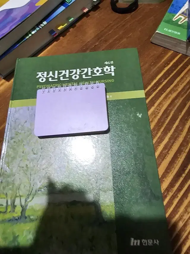 정신건강간호학