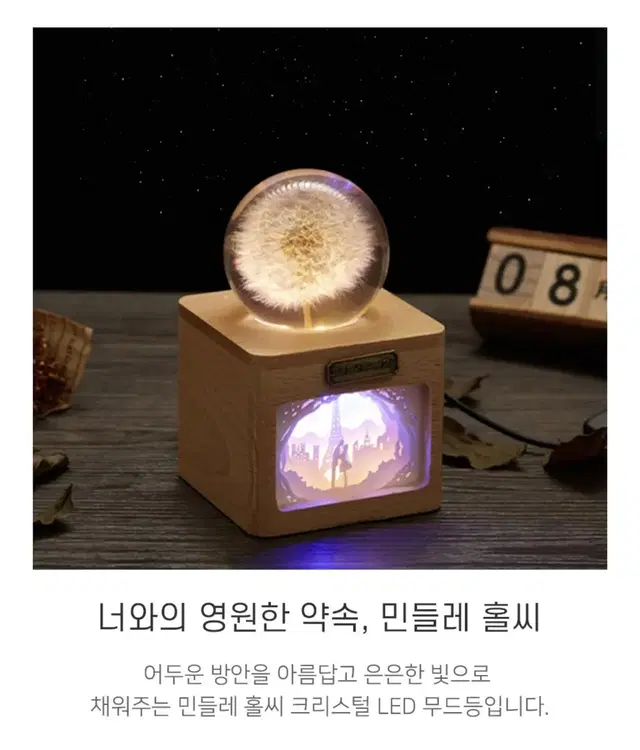 단델라이온 민들레 홀씨 크리스탈 LED 조명