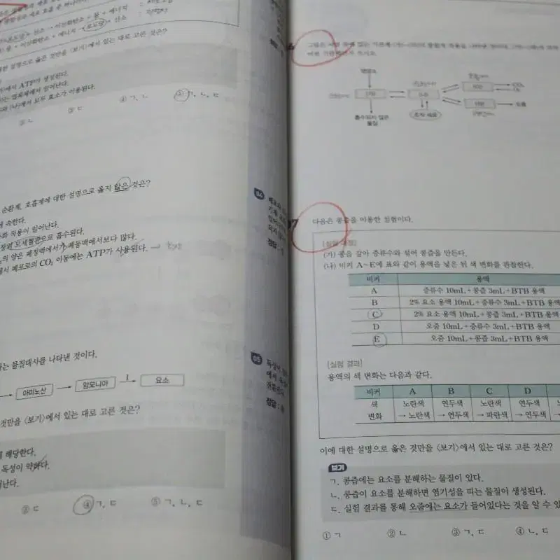 2023년 메가스터디 개념완성 생명과학1 명품 수능&내신 이론&문제집