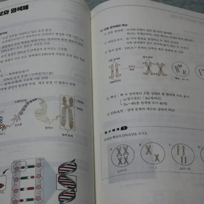 2023년 메가스터디 개념완성 생명과학1 명품 수능&내신 이론&문제집