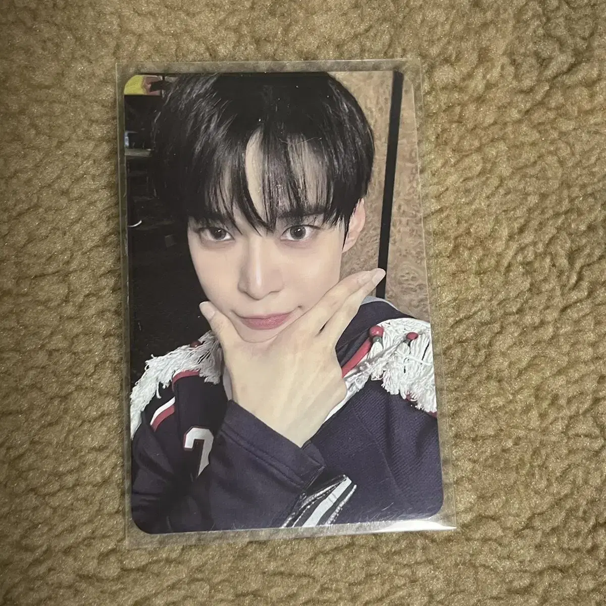 NCT 127 Fact Check showcase doyoung photocard WTS