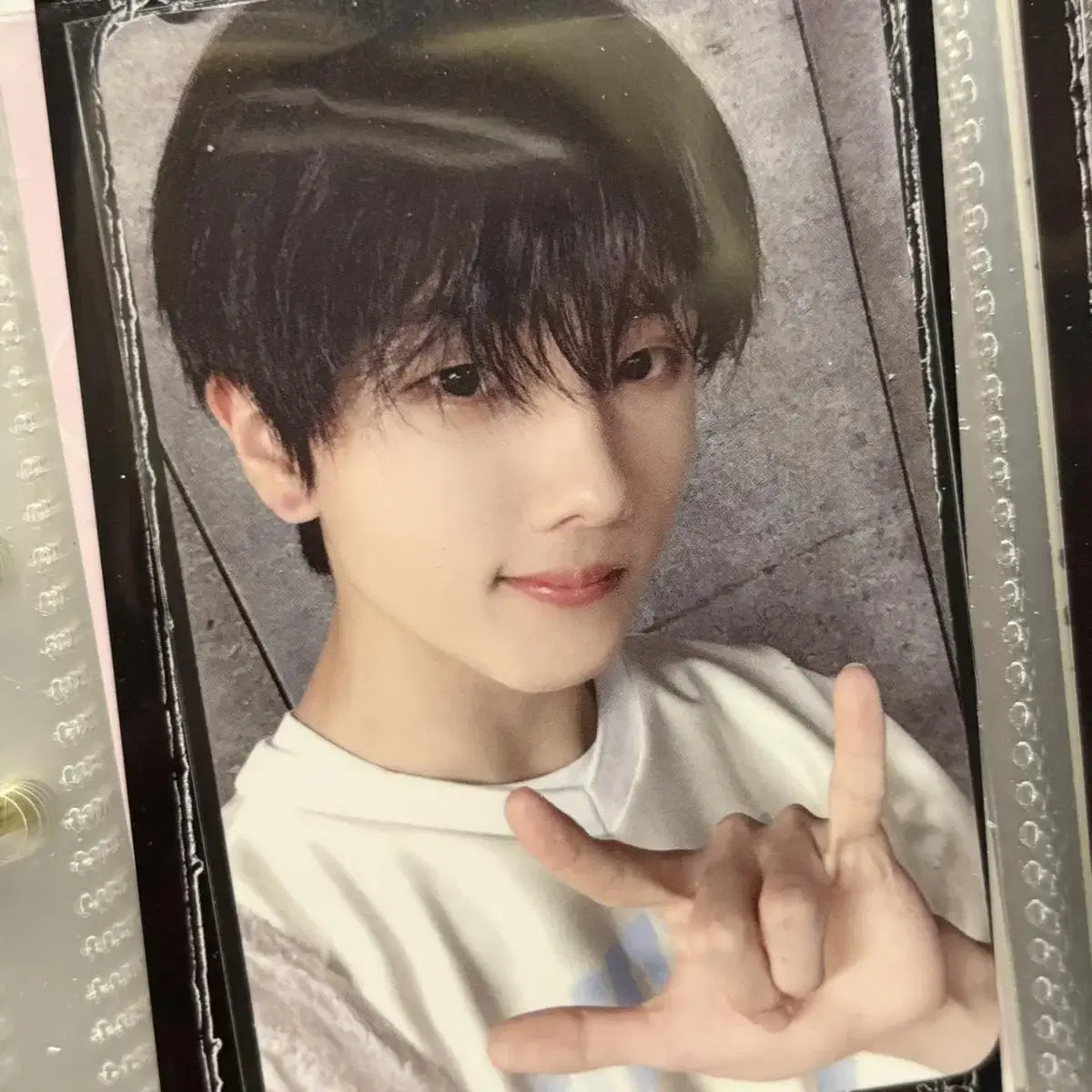 NCT Xin Dynasty jisung photocard WTS