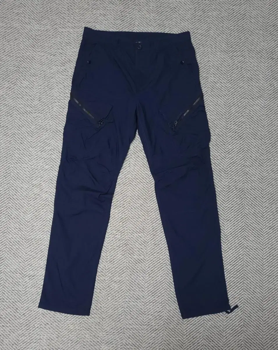 Armani Pocket Point Pants 31