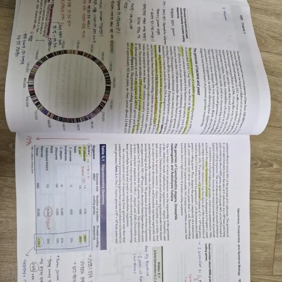 세포생물학 교재 The cell a molecular approch