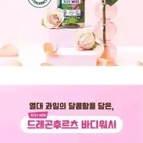 페이스인네이처 바디워시 400ml(와일드로즈, 드래곤후르츠)