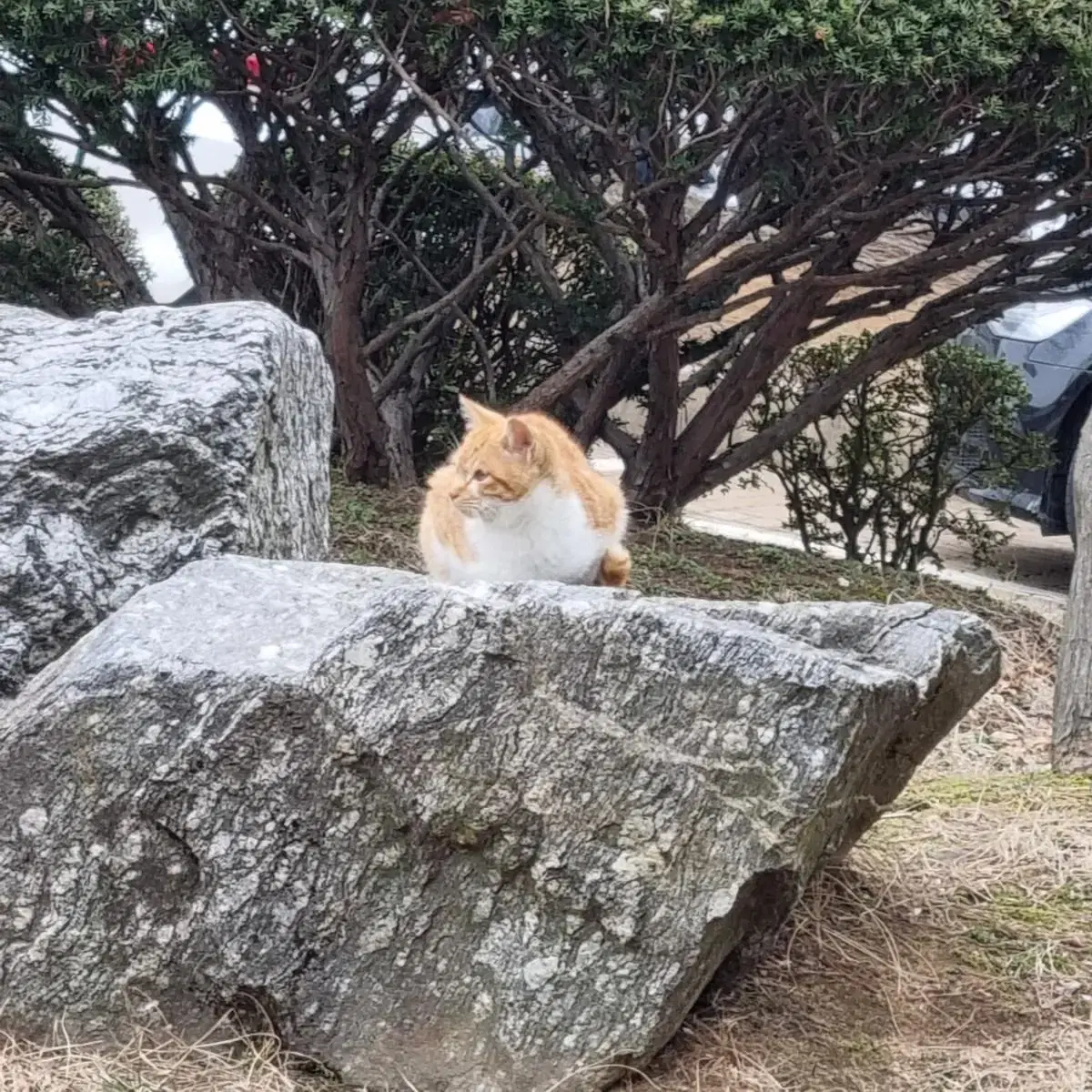 에듀윌 패스 양도