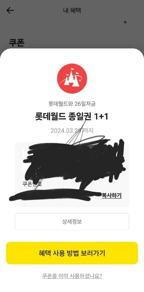 롯데월드 입장권