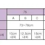 [새상품] 코데즈컴바인 브레지어 밴드포인트 블랙 2후크 80C 브라