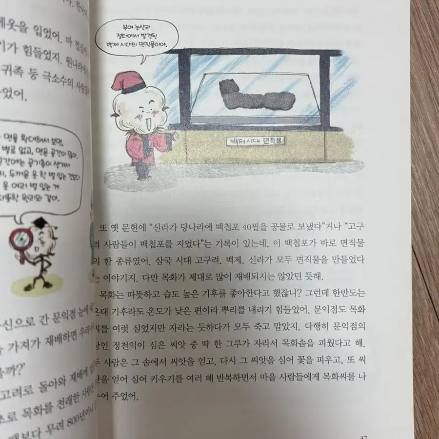 목화 너도나도 입지만 너무나도 몰라요