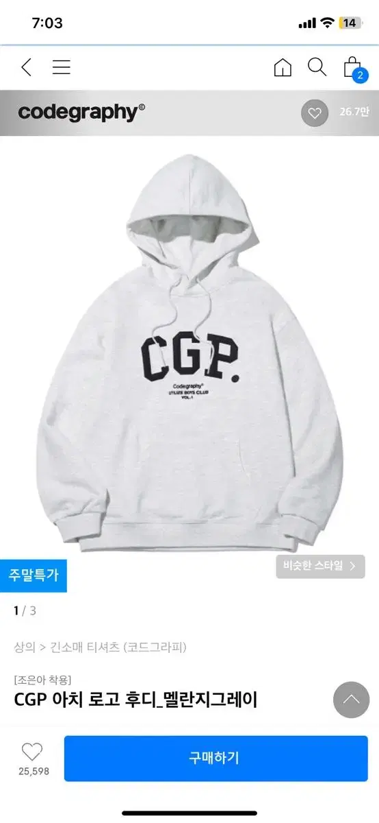 Codography CGP Arch Logo Hoodie Melange Gray S