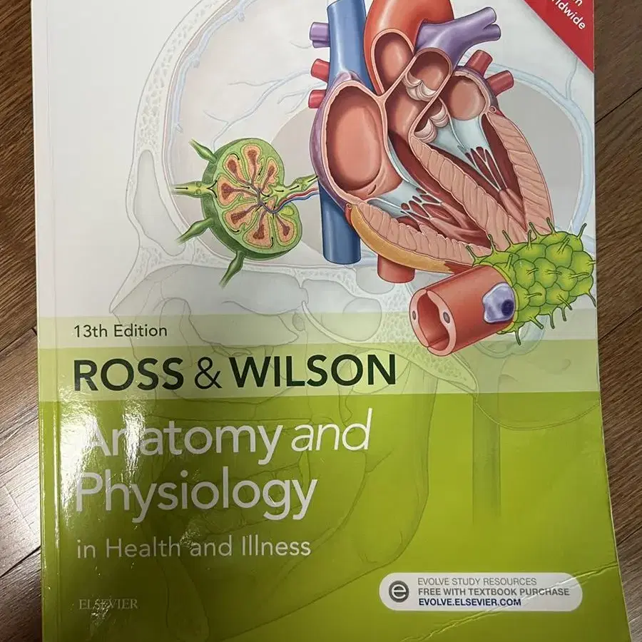 Ross&Wilson Anatomy and physiology 13판