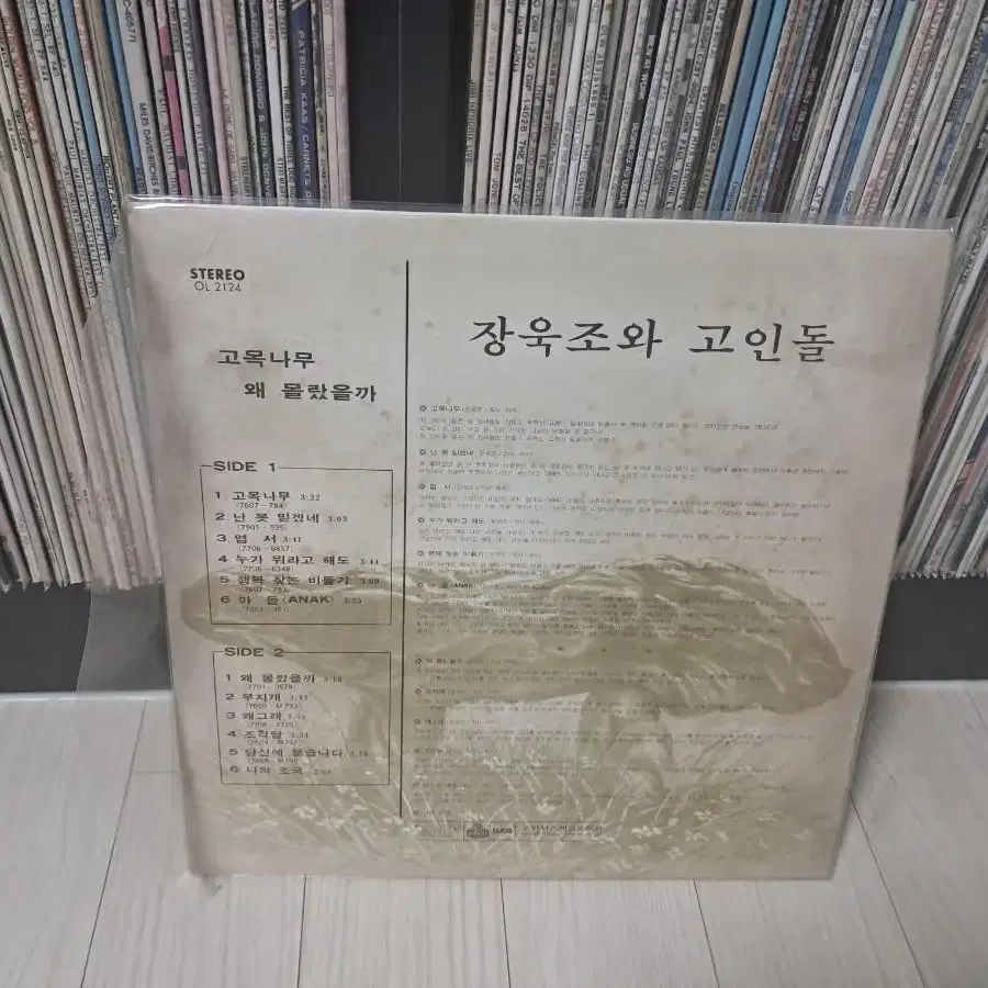 LP..장욱조(1979년)고목나무