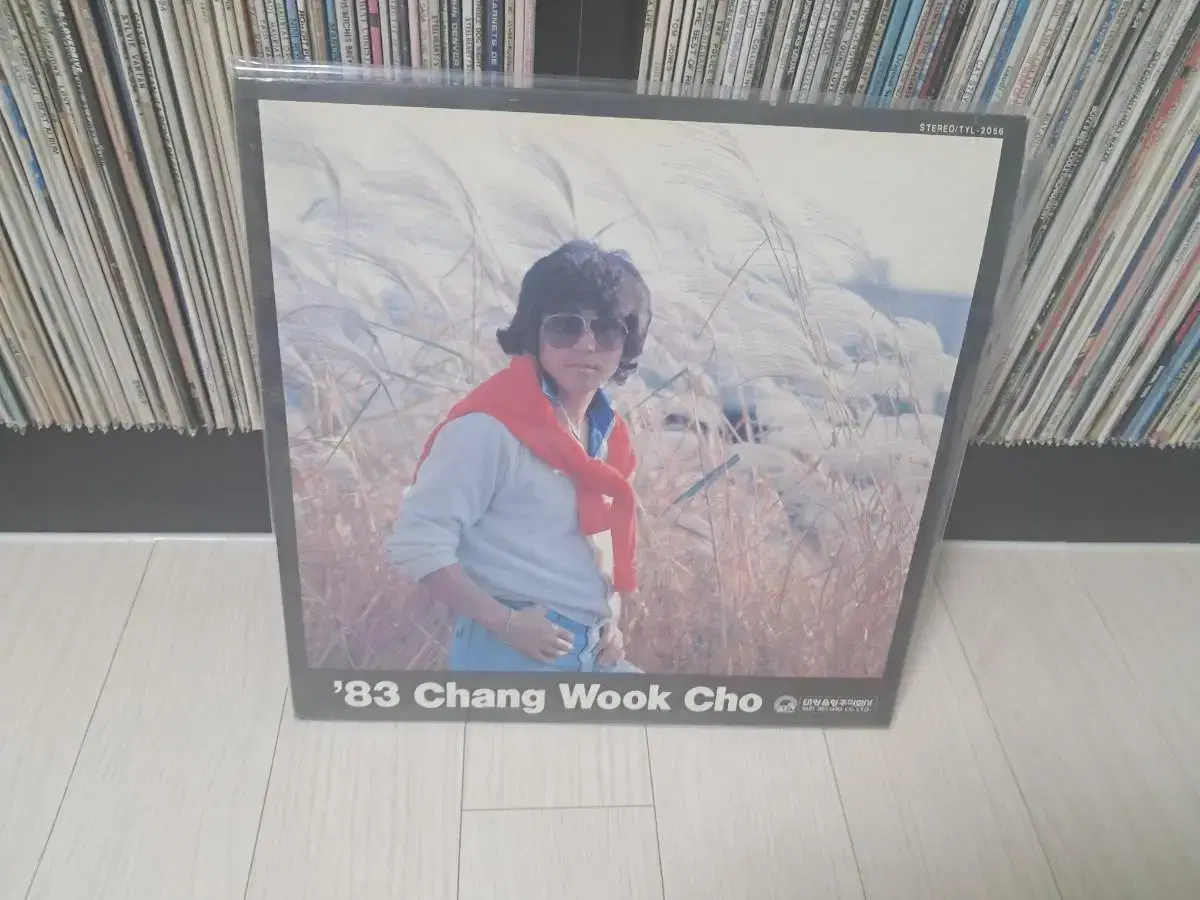 LP..장욱조(1982년)