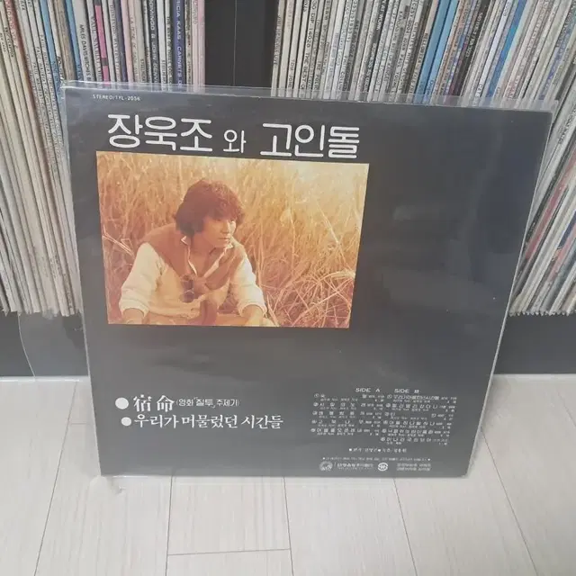 LP..장욱조(1982년)