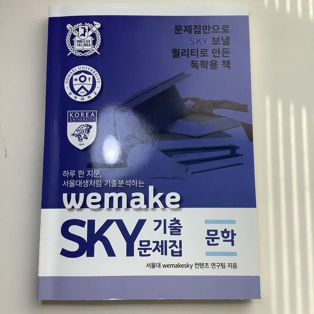 sky 기출 문제집 문학