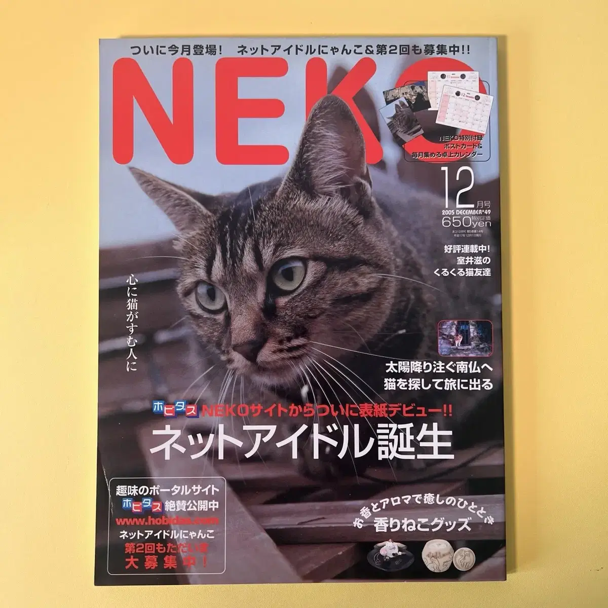 고양이잡지 네코 NEKO 2005-12 vol49 일본 빈티지잡지 고양이