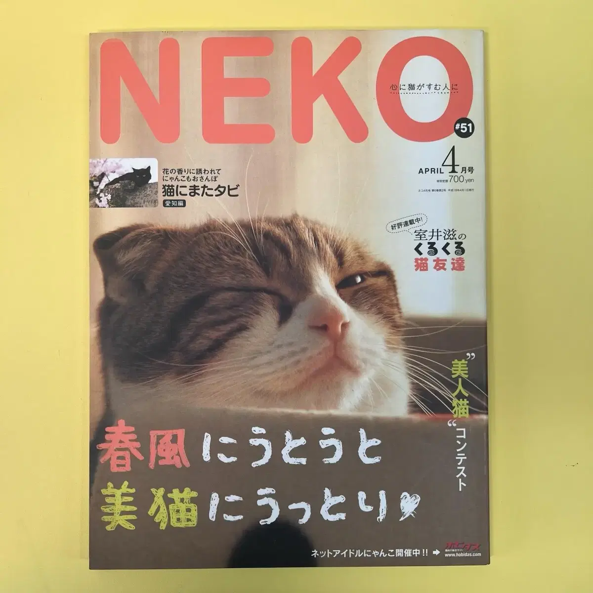 고양이잡지 네코 NEKO 2006-04 vol51 일본 빈티지잡지 고양이