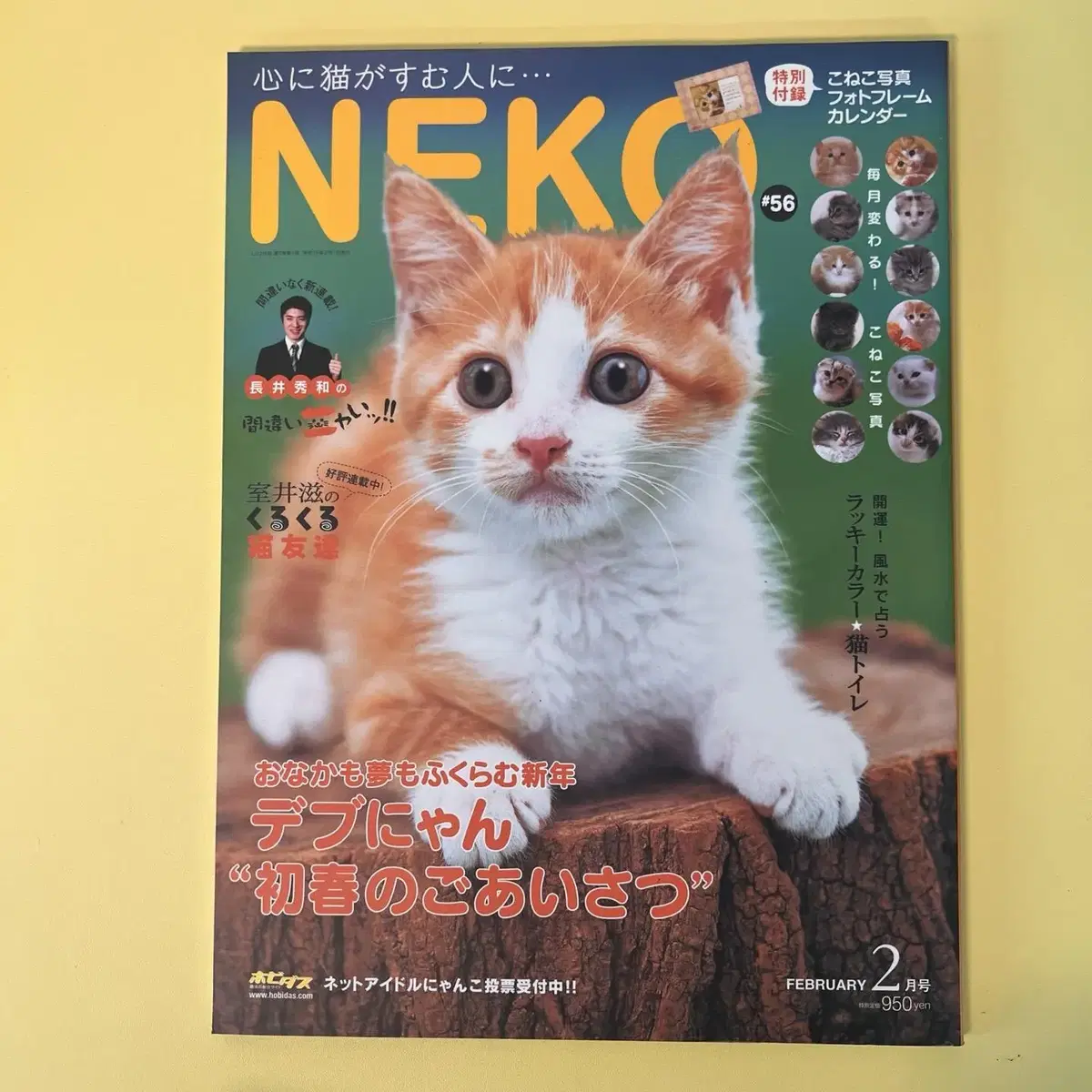 고양이잡지 네코 NEKO 2007-02 vol56 일본 빈티지잡지 고양이