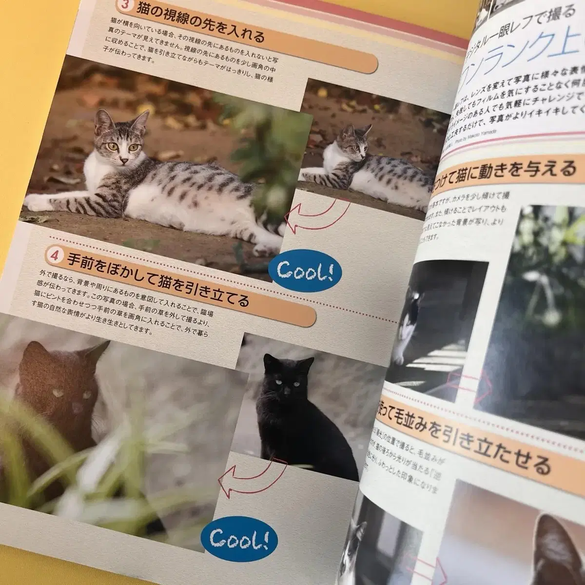 고양이잡지 네코 NEKO 2007-10 vol60 일본 빈티지잡지 고양이