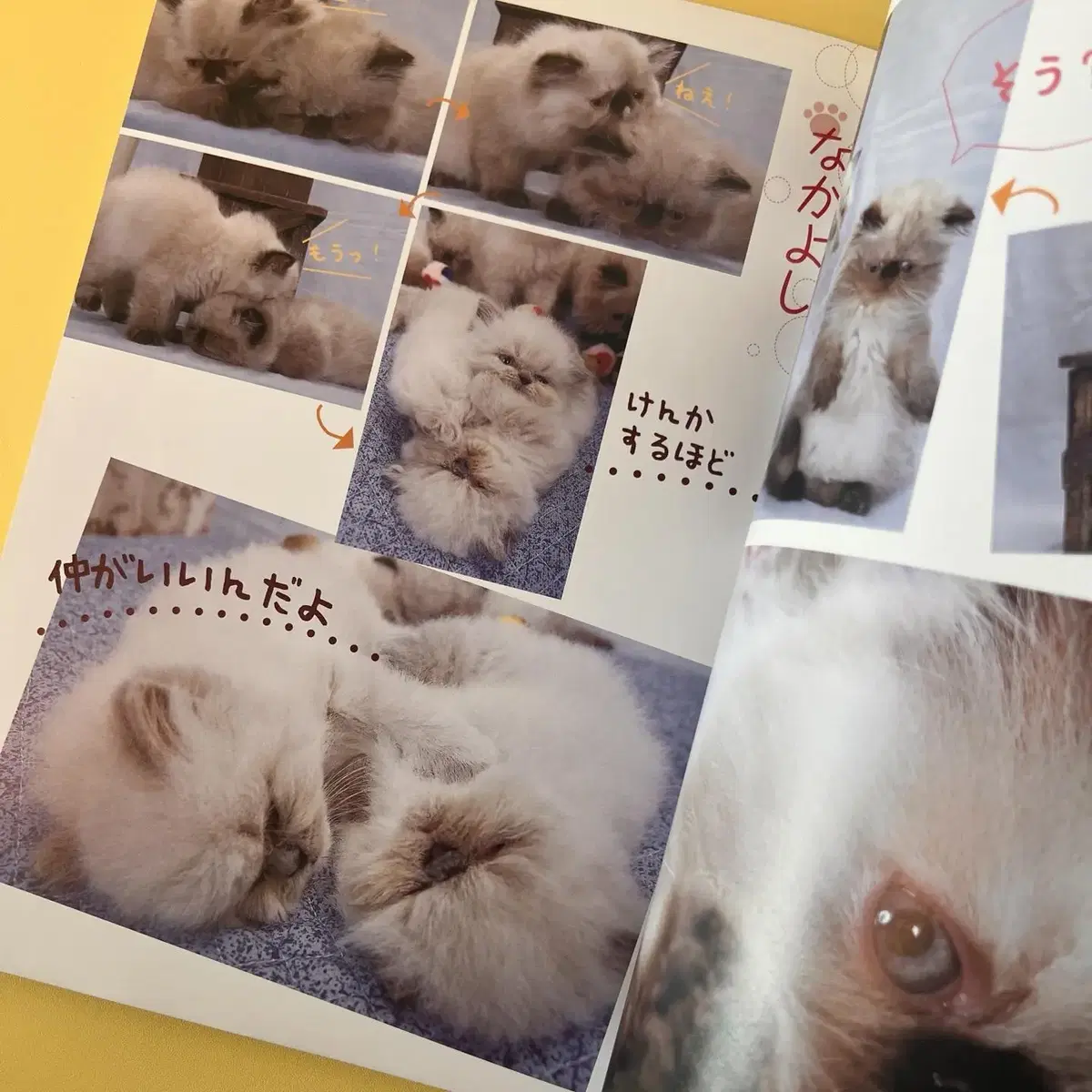 고양이잡지 네코 NEKO 2007-12 vol61 일본 빈티지잡지 고양이