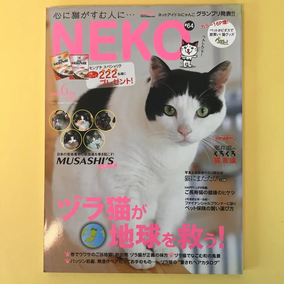 고양이잡지 네코 NEKO 2008-06 vol64 일본 빈티지잡지 고양이