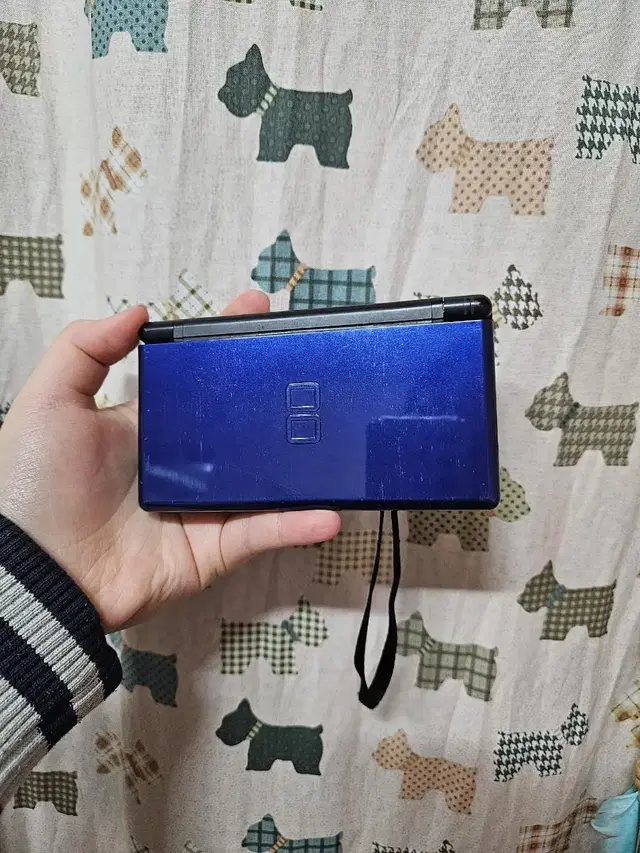 닌텐도 DS Lite + 충전기