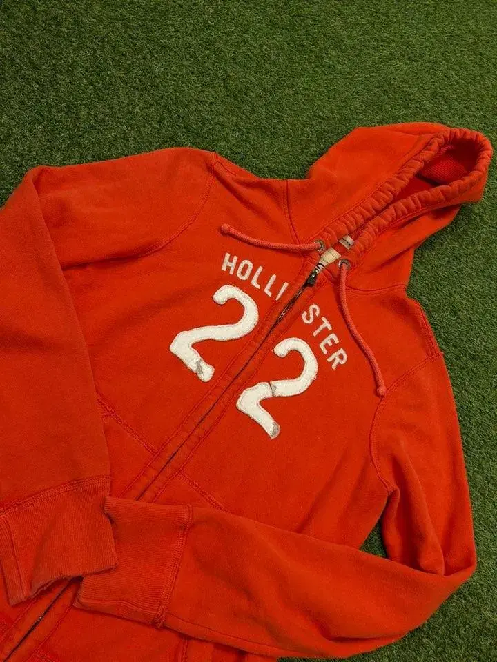 [Genuine/M] Hollister Hood Zip Up