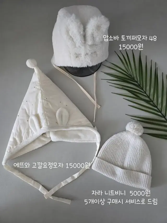 돌전후 겨울모자 블루독 에뜨와 밍크뮤 해피프린스 자라