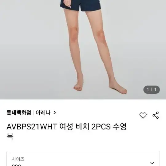 아레나래쉬가드